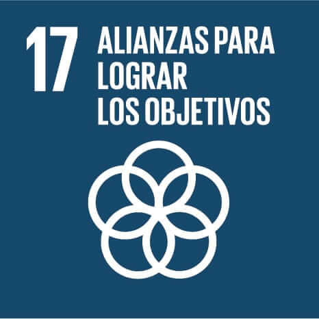 Logo del Objetivo de Desarrollo Sostenible número 17: Alianzas para lograr objetivos