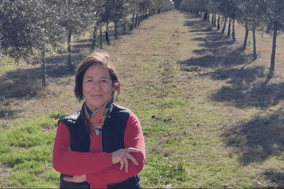 María Dolores Ferrando en su plantaciones de olivos en la Requena